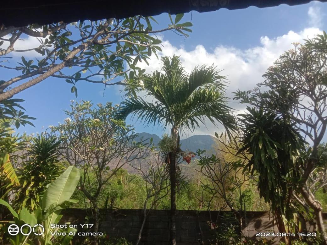 Pemuteran Tirta Bali Homestay מראה חיצוני תמונה