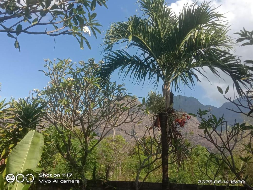 Pemuteran Tirta Bali Homestay מראה חיצוני תמונה